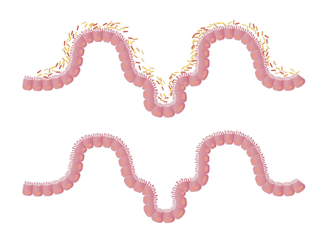 Didier Raoult Microbiologie