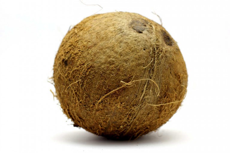 noix-de-coco