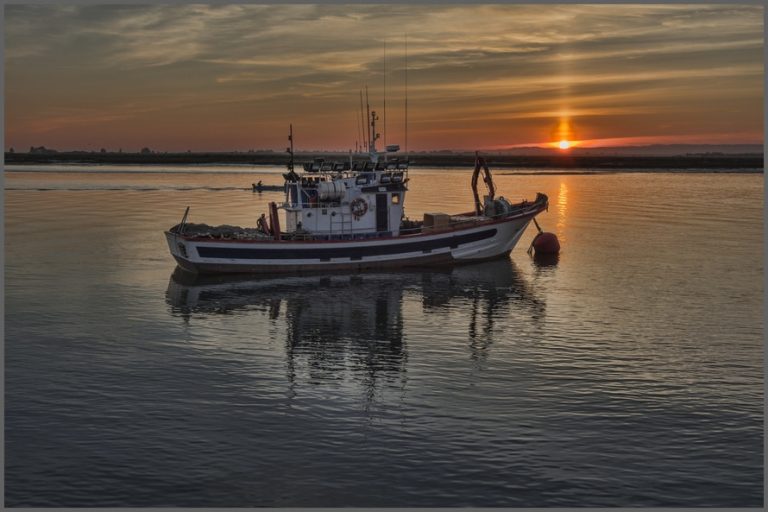 bateau-peche