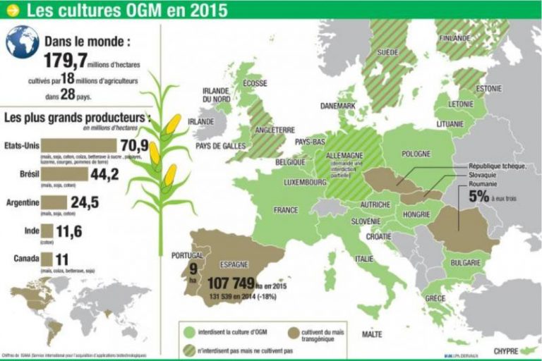 ogm 2015