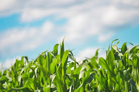 agriculture-technologies