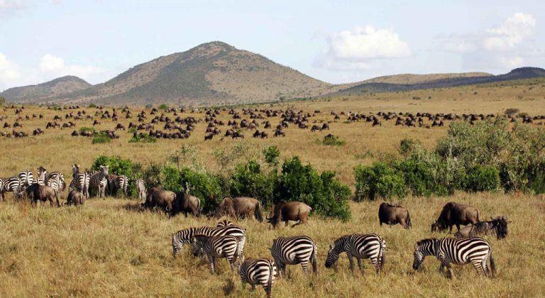 voyage-Kenya