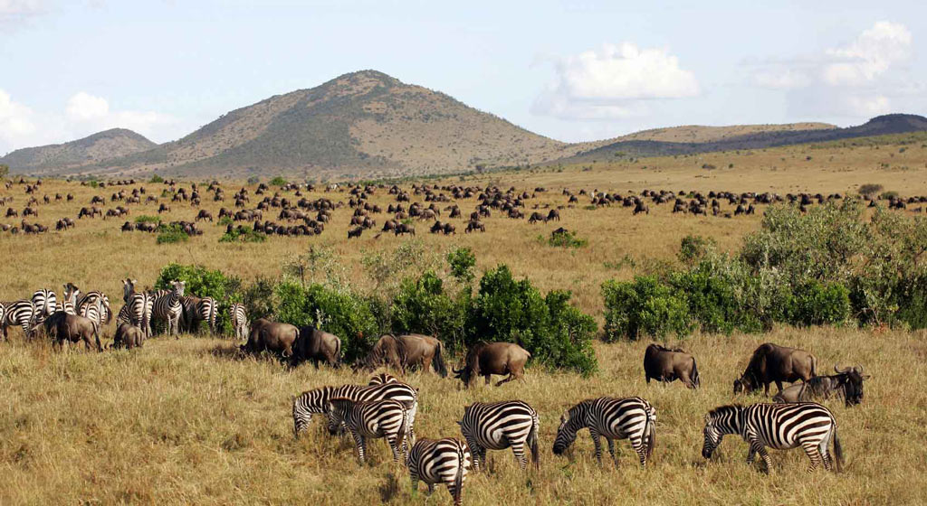 voyage-Kenya