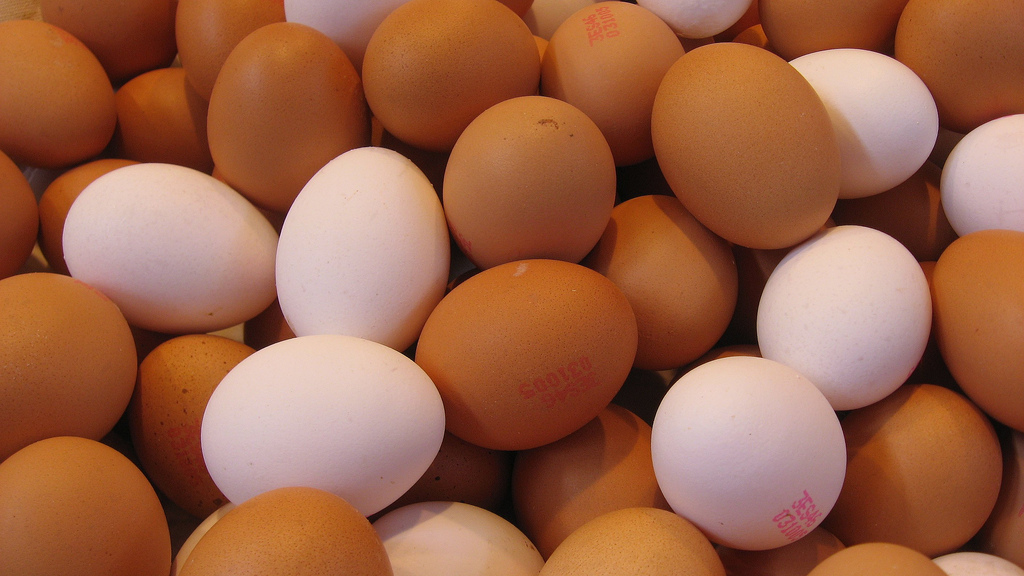 oeufs