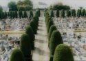 La commune gère les sites cinéraires