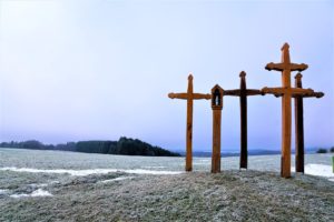 IHU Méditerranée, maladies infectieuses comme la peste
