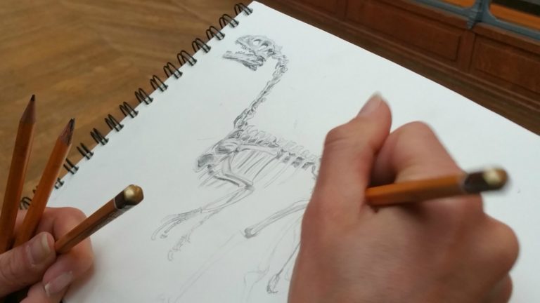 Apprendre le dessin : suivre des cours pour débutant