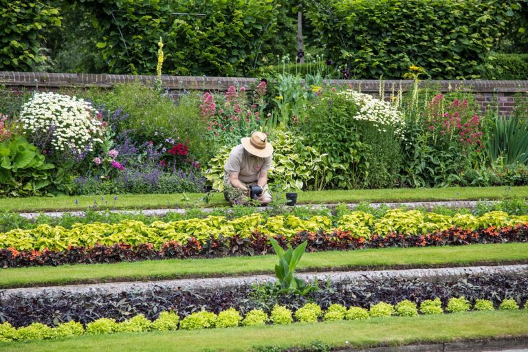 Comment trouver un bon jardinier?