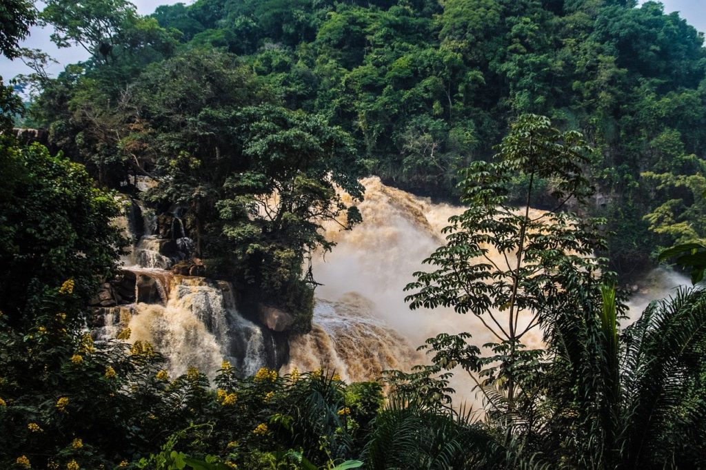 Emile Ouosso parle de la prise de conscience des Congolais envers l'environnement