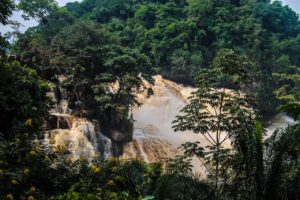 Emile Ouosso parle de la prise de conscience des Congolais envers l'environnement