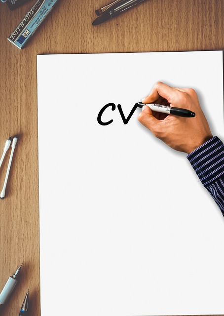 exemple de CV original