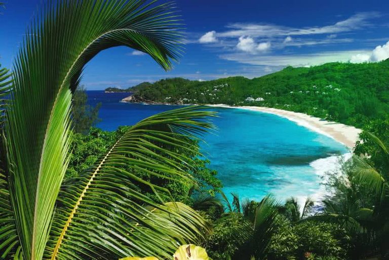 3 bonnes raisons de partir en Seychelles