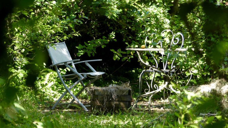 petit jardin