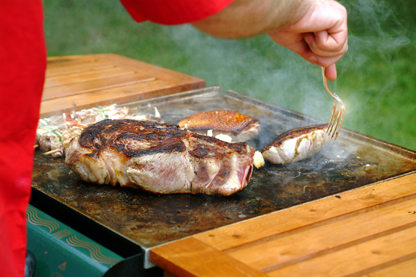 Comment choisir un chariot à plancha ?
