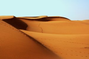desert-libyque