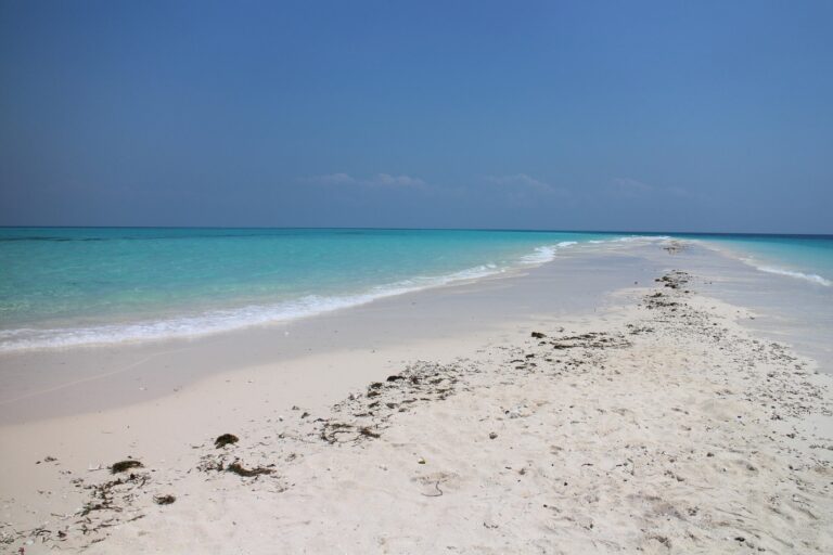 Tanzanie