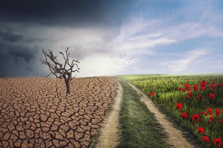 protection environnement