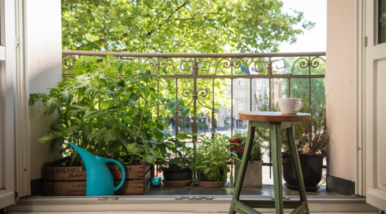 Bac à tomate en bois : manger sainement même en appartement !