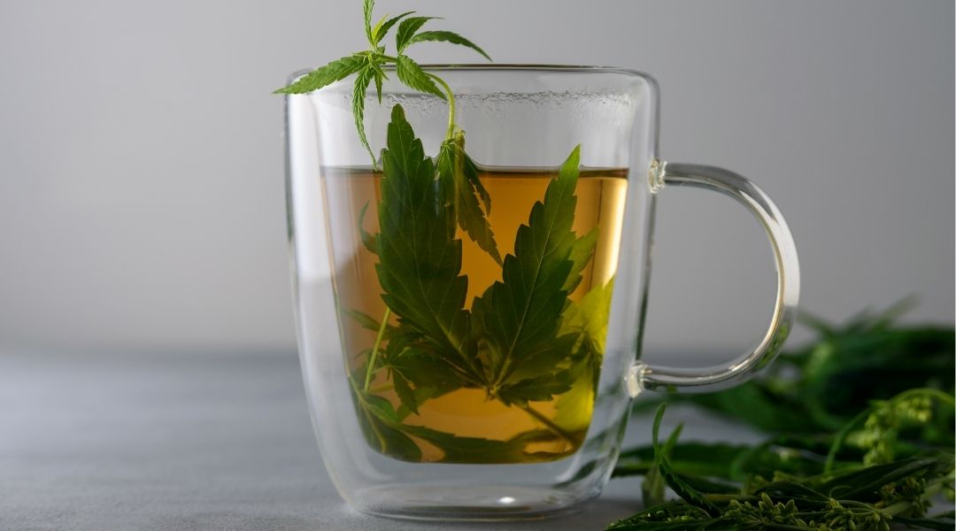 infusion cbd