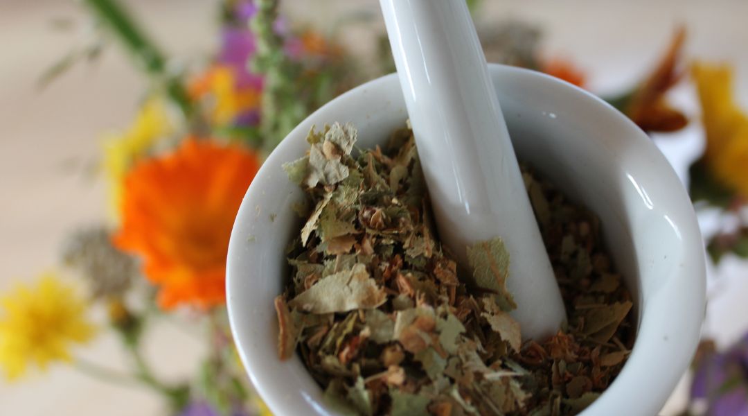 Naturopathe