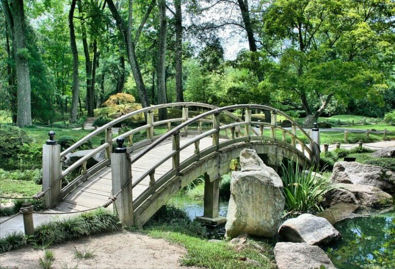 Comment créer un jardin-forêt?