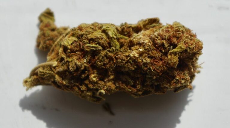 fleur de cbd
