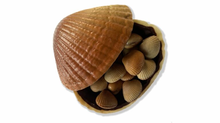 Coques en chocolat