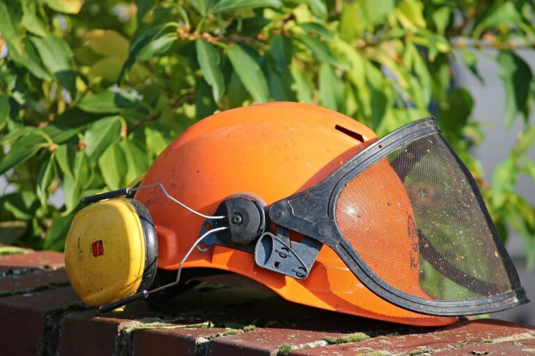 Pourquoi contacter un professionnel de l’élagage ?