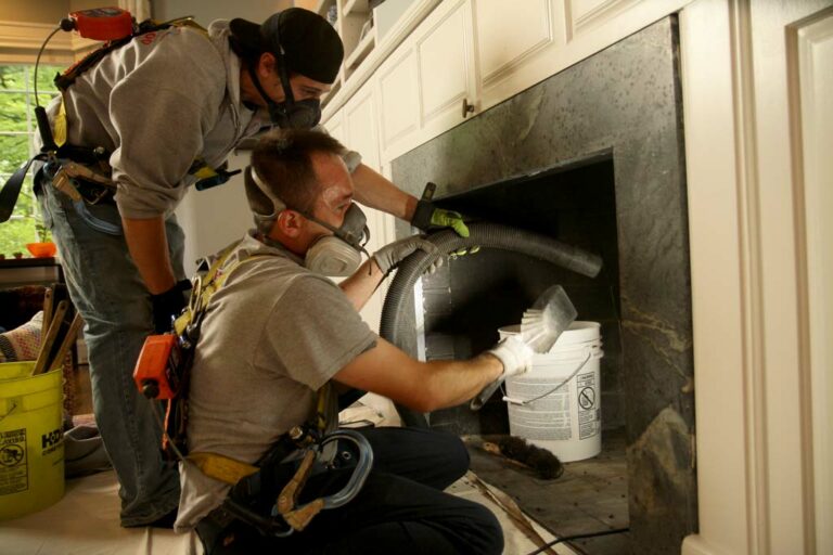 3 raisons de solliciter un ramoneur professionnel