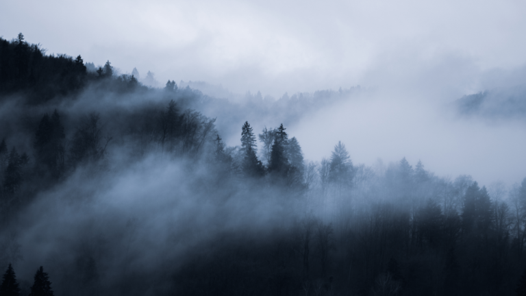 Les panneaux solaires fonctionnent-ils la nuit ou dans le brouillard ?