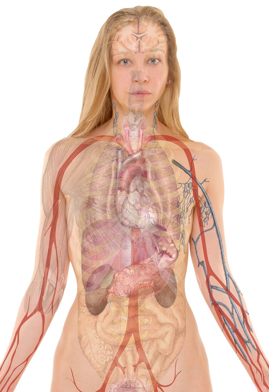 Accès pour Tous aux Soins en 2024