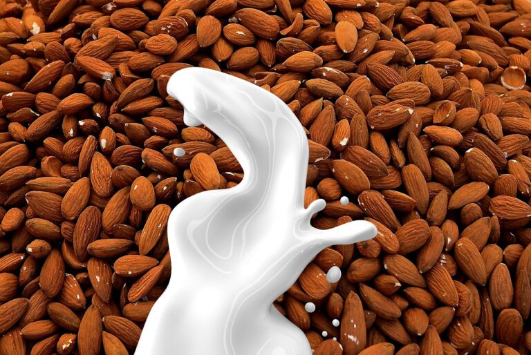 Le Lait d’Amande : L’allié Idéal pour les Intolérants au Lactose