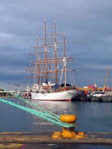 Magazine de l'environnement pour un meilleur avenir.