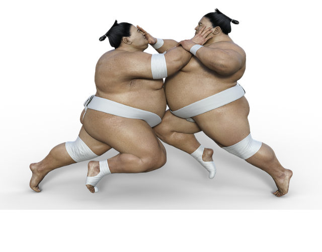 sumo